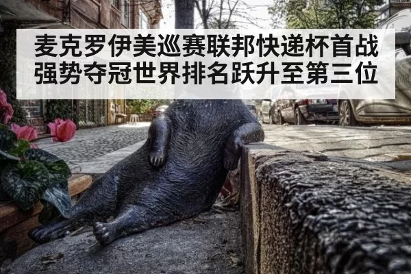 麦克罗伊美巡赛联邦快递杯首战强势夺冠世界排名跃升至第三位